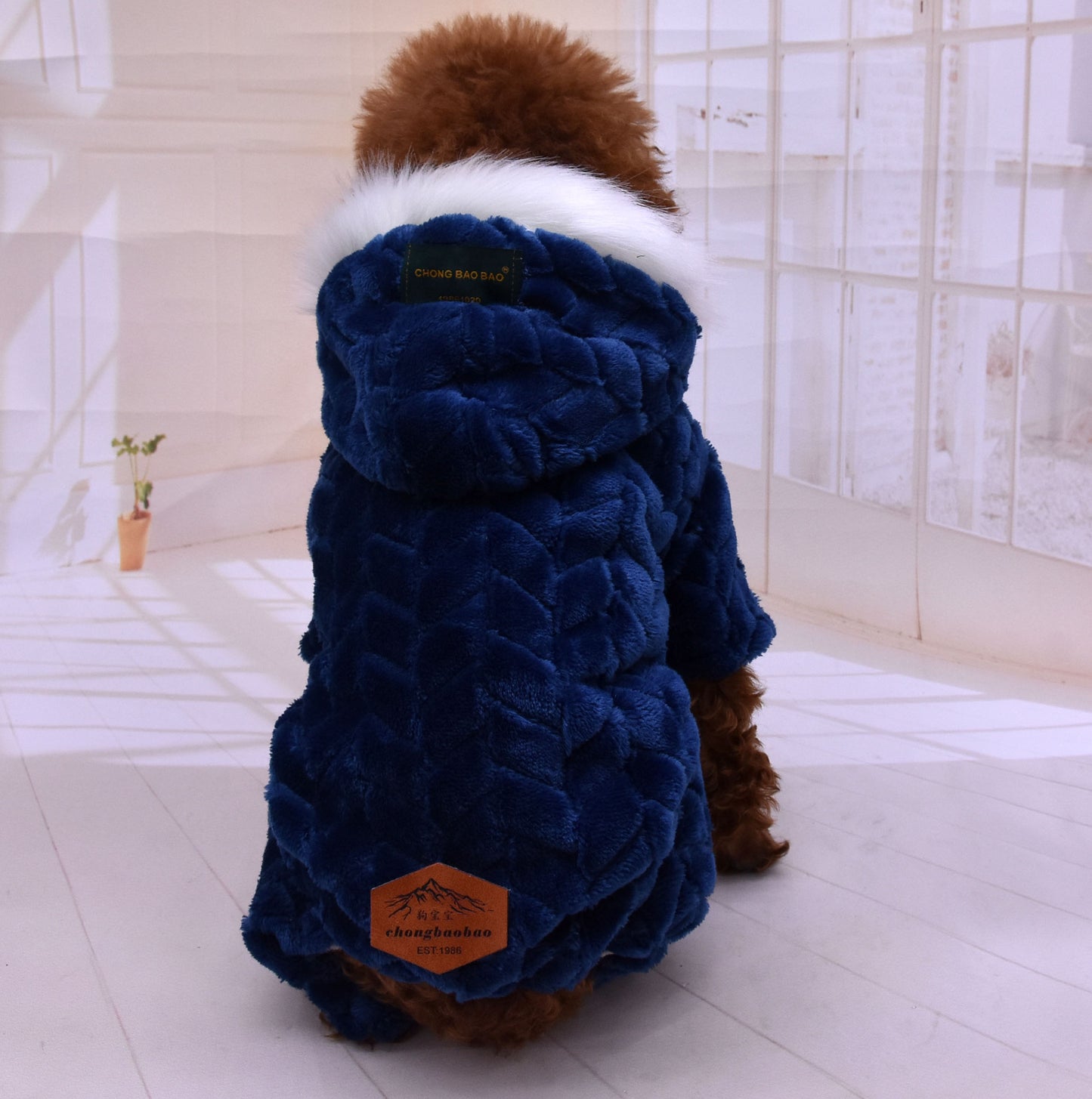 Your Furry Pets' Festive Holiday Sweaters & Pajamas - Dog & Cat Outfits!