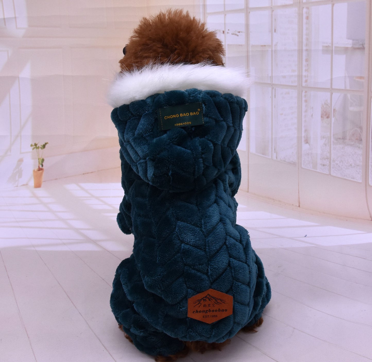 Your Furry Pets' Festive Holiday Sweaters & Pajamas - Dog & Cat Outfits!