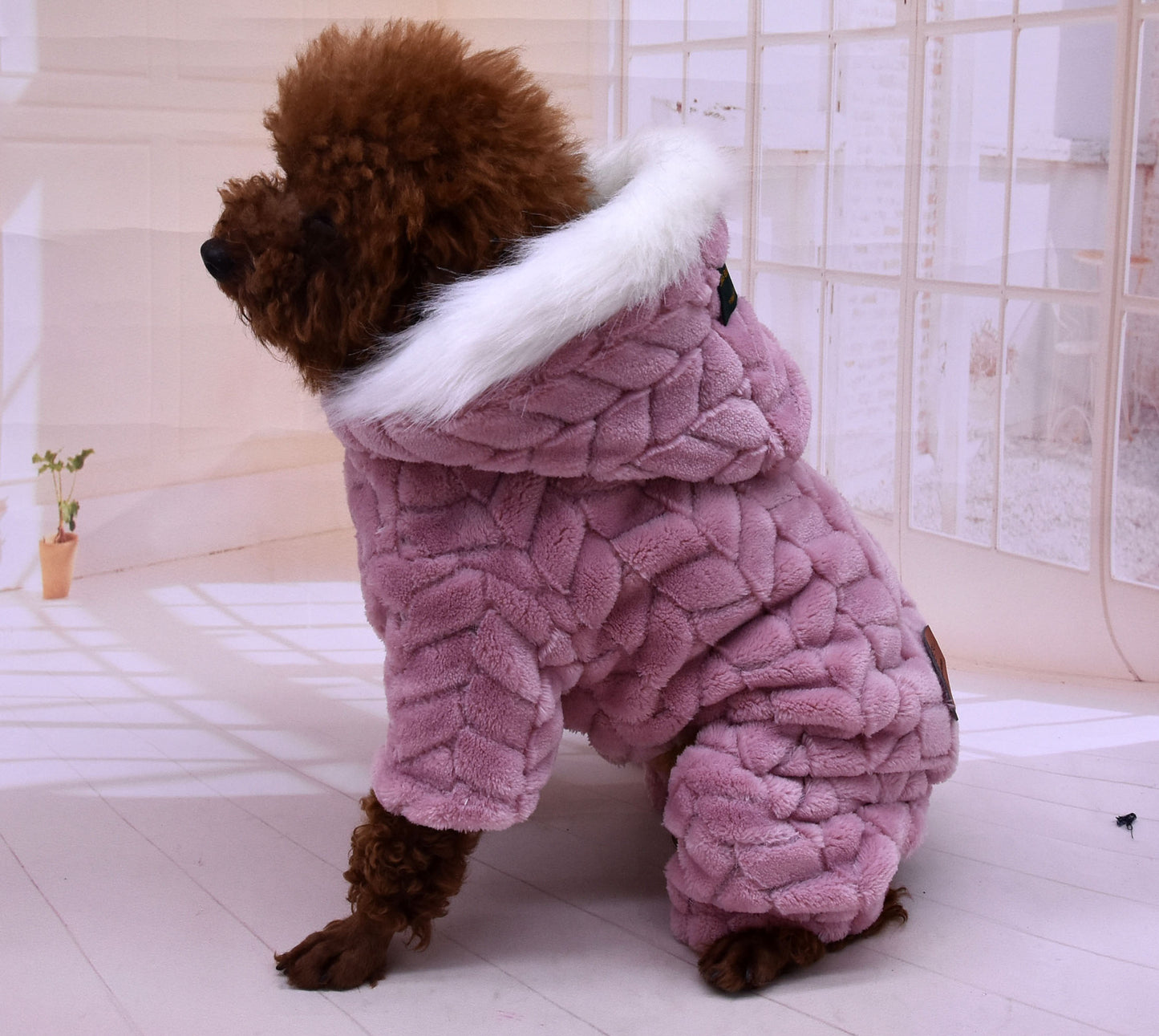 Your Furry Pets' Festive Holiday Sweaters & Pajamas - Dog & Cat Outfits!