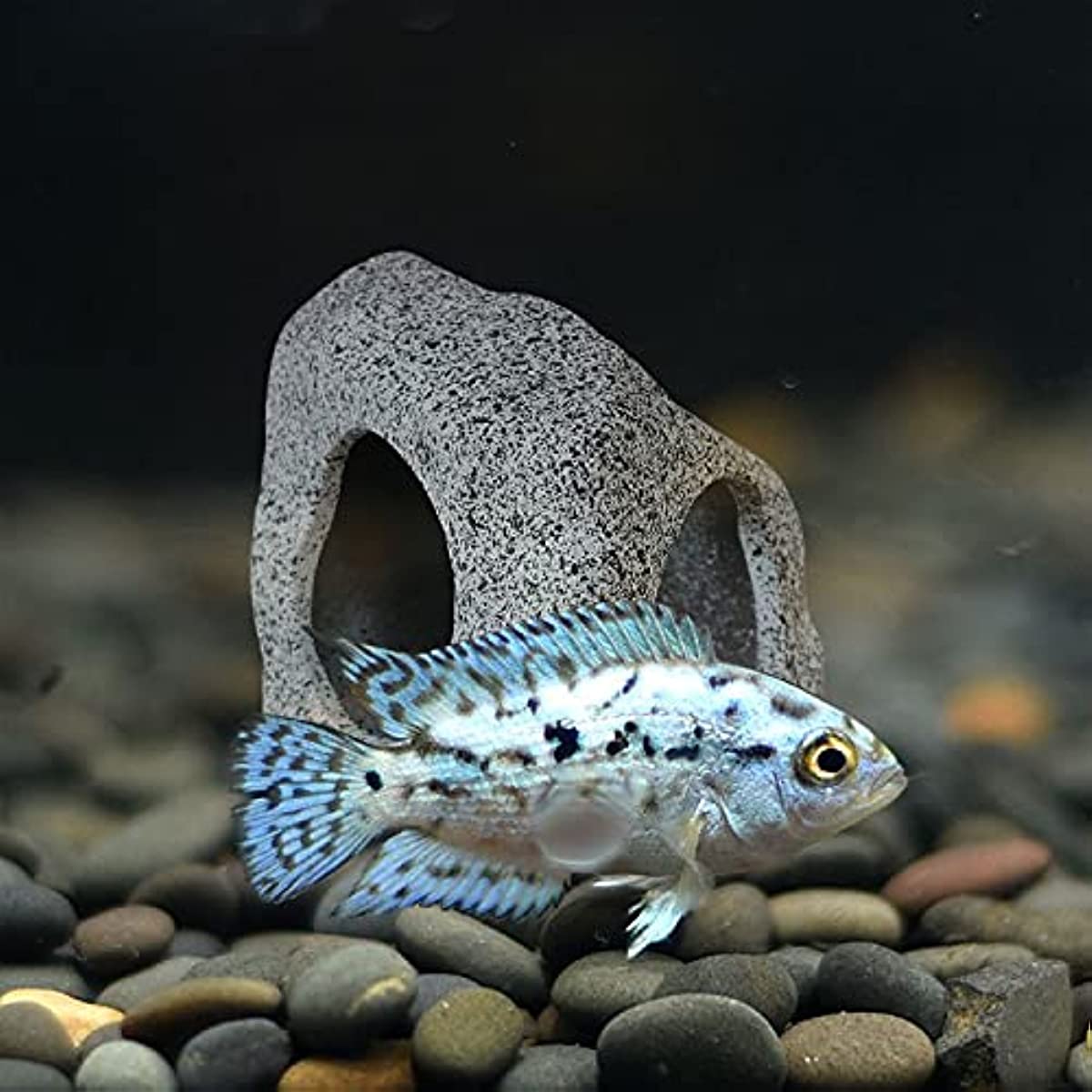 Aquarium Hideaway Rock Cave For Aquatic Pets To Breed, Play And Rest Fish Tank Ornaments, Decor Stone