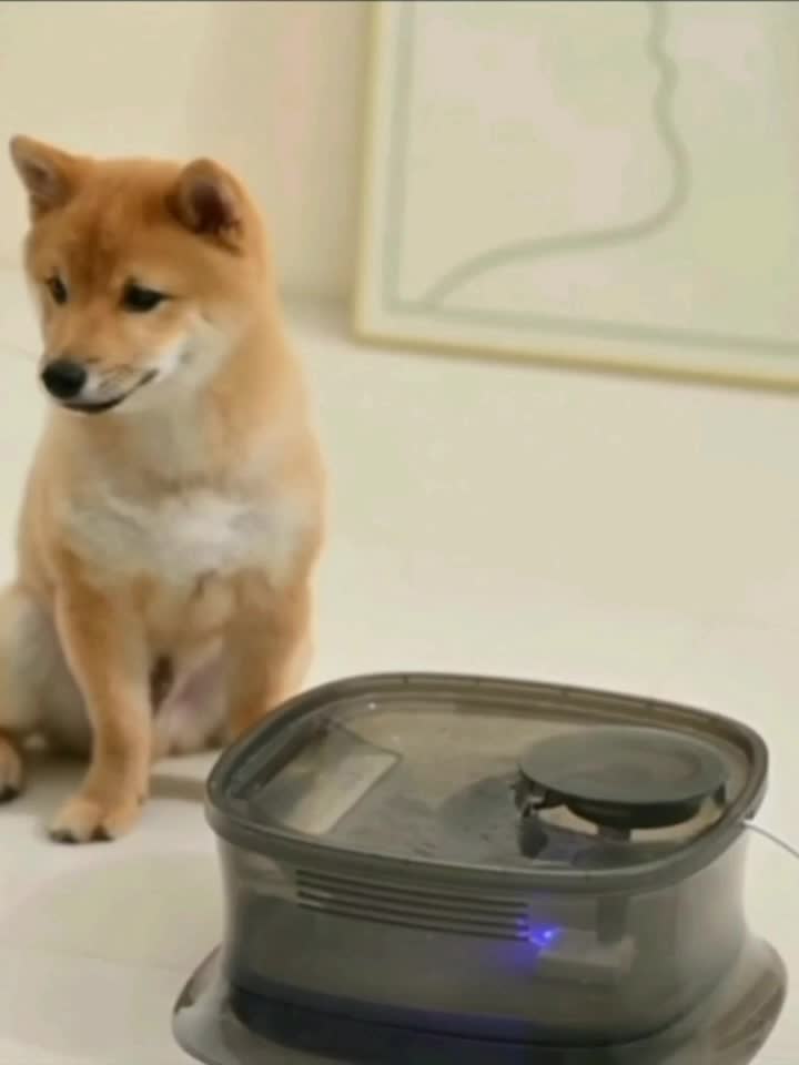 1.19gal Transparent Automatic Pet Water Fountain with Smart Silent Pump - USB Powered, Advanced Filtration for Cats & Dogs, Ideal for Small to Large Pets, Pet Hydration Solution|Modern Pet Accessory|Easyclean Pet Fountain, Wa