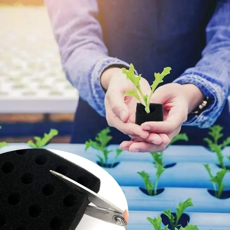 500/100Pcs Sponge Squares for Hydroponics Hydroponic Sponge Planting Tool Household Greenhouse Hydroponic Sponge Square Sponges