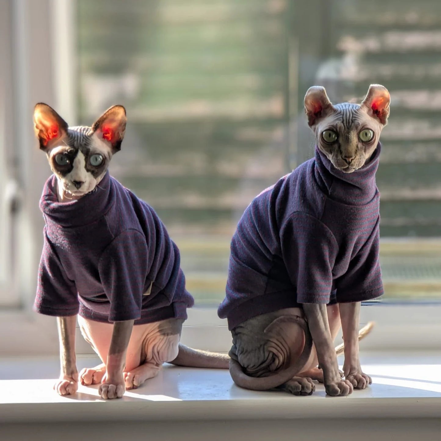 Striped Undershirt for Sphynx Cat Elegant high neck T-shirt for Kittens Dogs Spring Soft Long Sleeve Coat for Devon Rex Clothing
