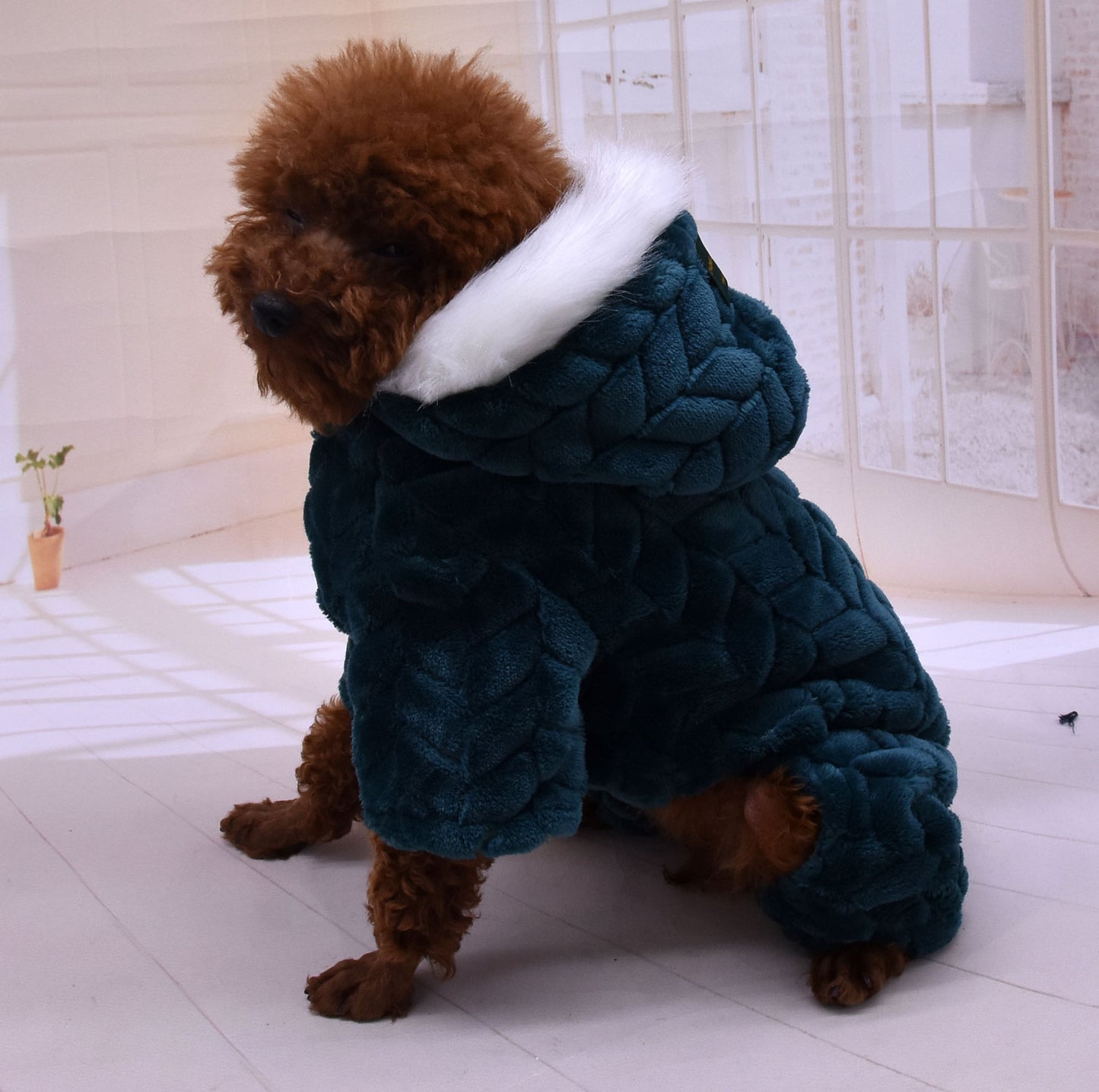 Your Furry Pets' Festive Holiday Sweaters & Pajamas - Dog & Cat Outfits!