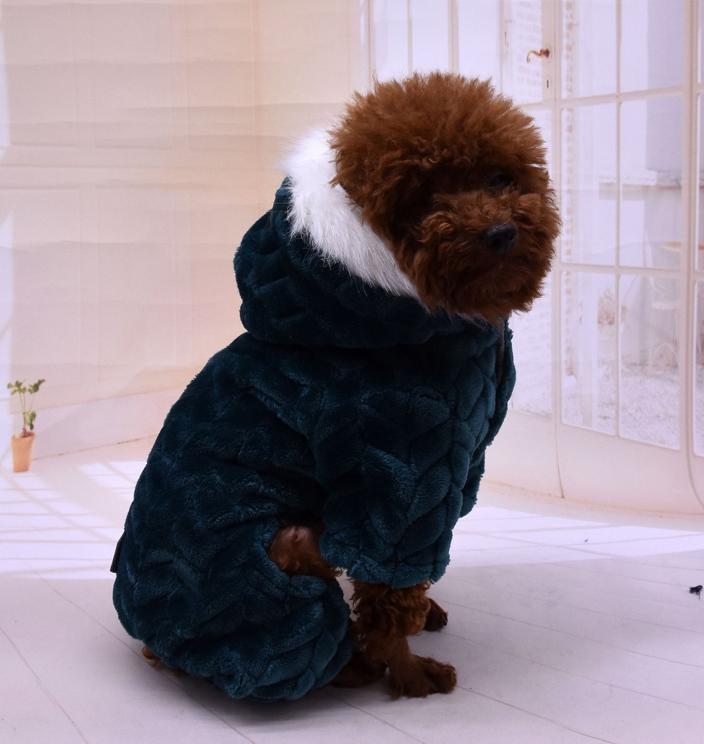 Your Furry Pets' Festive Holiday Sweaters & Pajamas - Dog & Cat Outfits!