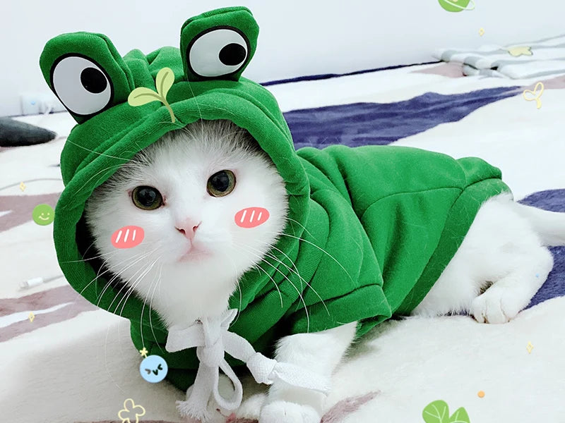 Winter Pet Hoodie Sweater Sports Cat Clothes for Cats Kitten Dog Pullovers Sweatshirt Fruit Animal Cosplay Pets Clothing Costume