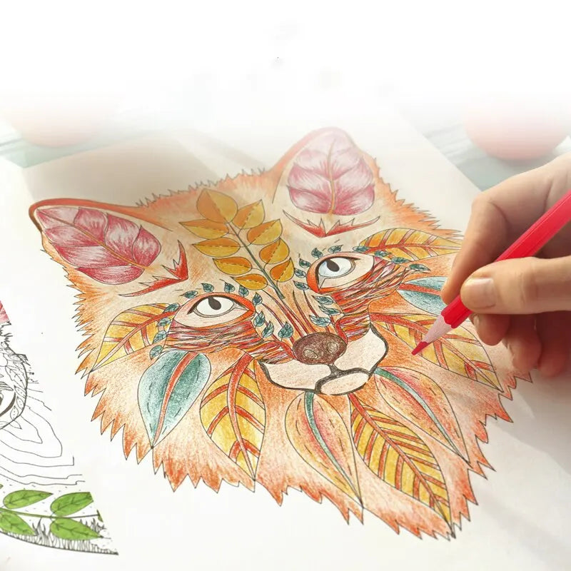 Deli Oily Colored Pencil Set – 24/36/48 Colors in Barrel for Students, Artists & Sketching Fun