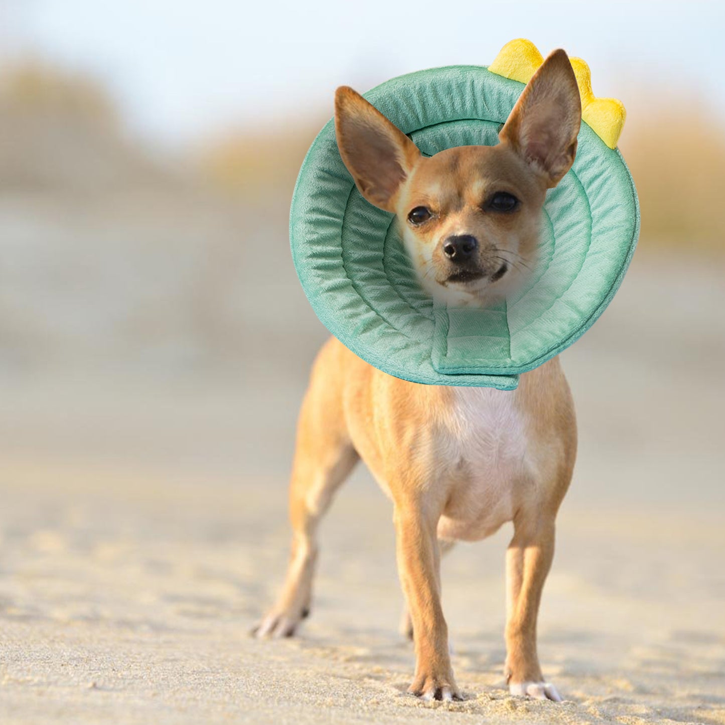 Cat Cone Dinosaur Style Adjustable Multi-purpose Collar Protect Your Pets from Harm