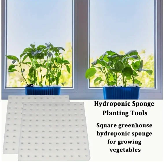 500/100Pcs Sponge Squares for Hydroponics Hydroponic Sponge Planting Tool Household Greenhouse Hydroponic Sponge Square Sponges