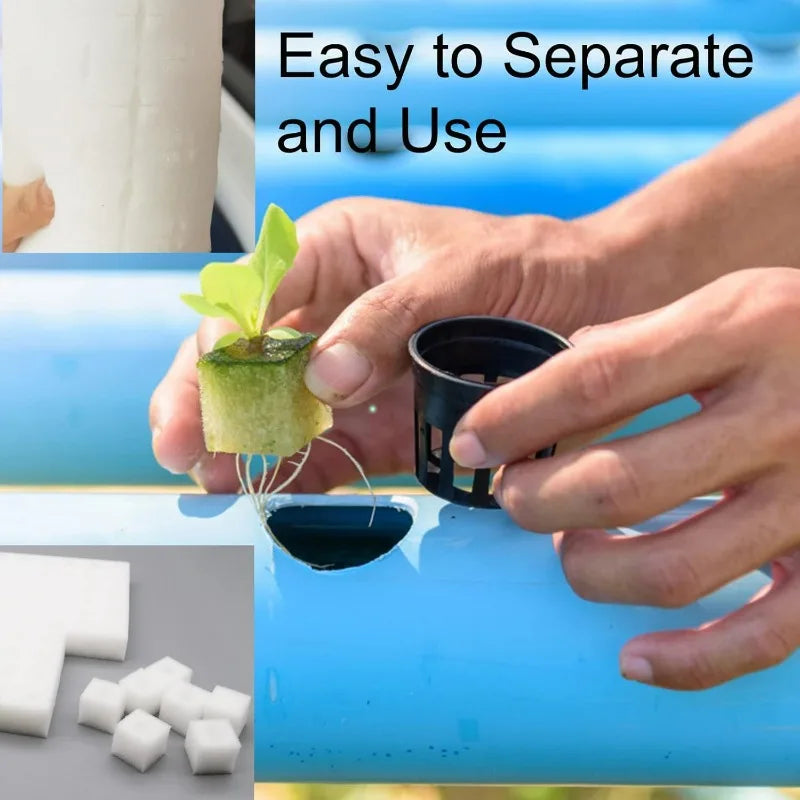 500/100Pcs Sponge Squares for Hydroponics Hydroponic Sponge Planting Tool Household Greenhouse Hydroponic Sponge Square Sponges