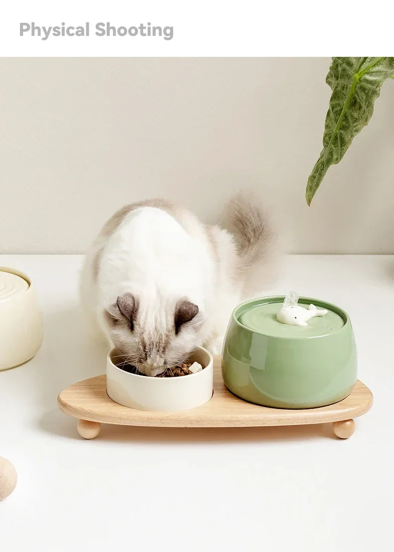 1.3 L Ceramic Cat Water Fountain USB Charging Pet Water Feeders Dogs Automatic Circulating Filtration Flow Water Dispenser