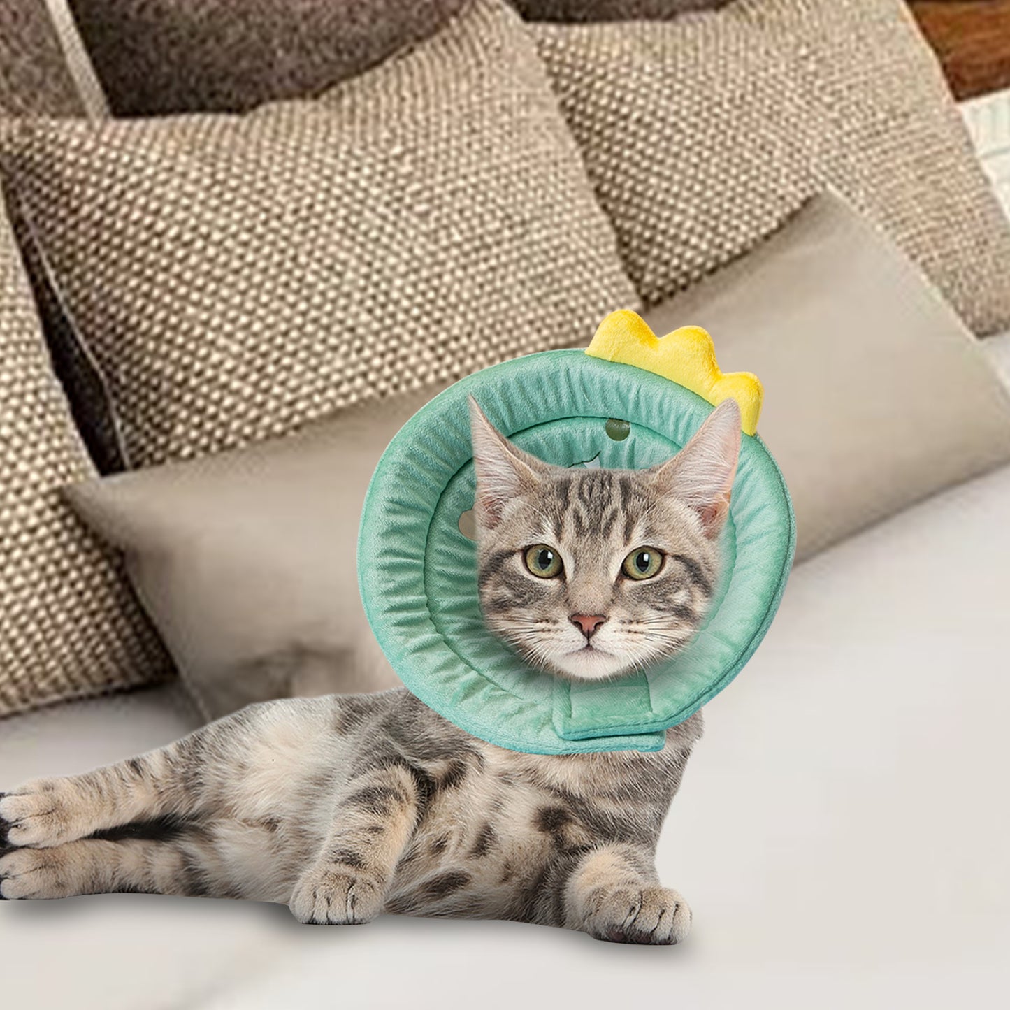 Cat Cone Dinosaur Style Adjustable Multi-purpose Collar Protect Your Pets from Harm