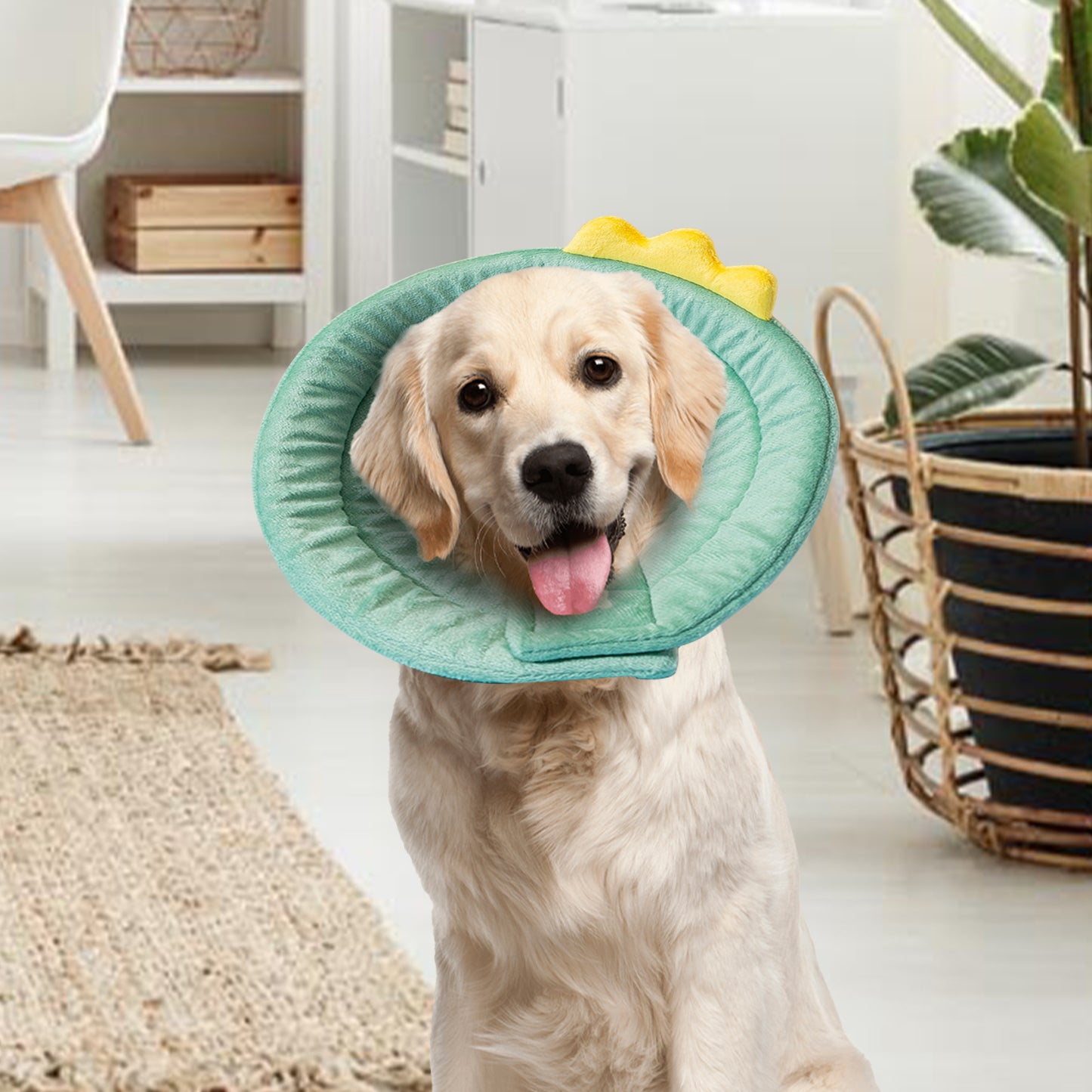 Cat Cone Dinosaur Style Adjustable Multi-purpose Collar Protect Your Pets from Harm