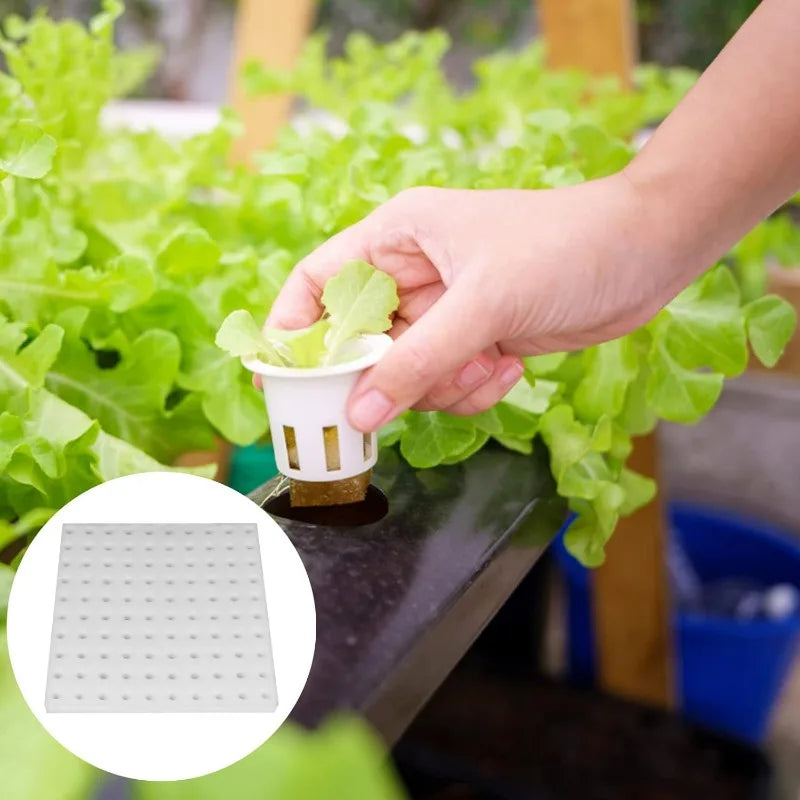 500/100Pcs Sponge Squares for Hydroponics Hydroponic Sponge Planting Tool Household Greenhouse Hydroponic Sponge Square Sponges