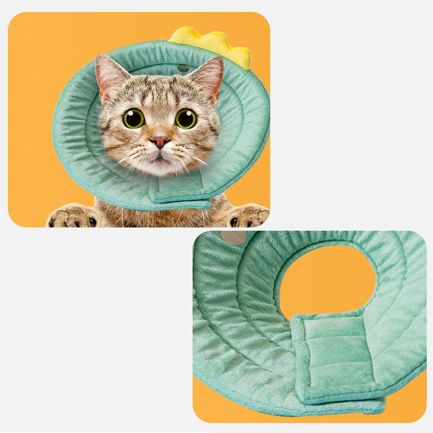 Cat Cone Dinosaur Style Adjustable Multi-purpose Collar Protect Your Pets from Harm