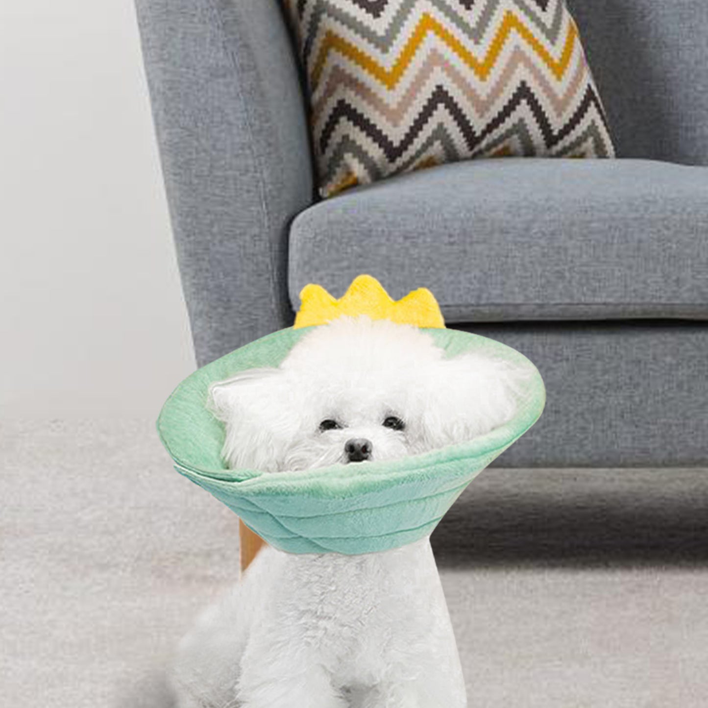 Cat Cone Dinosaur Style Adjustable Multi-purpose Collar Protect Your Pets from Harm