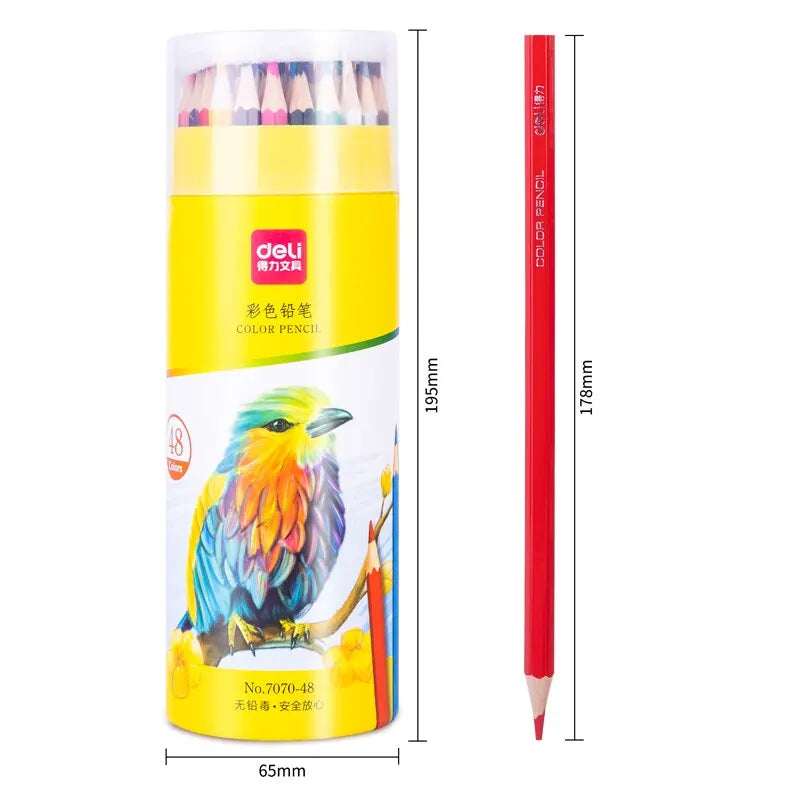 Deli Oily Colored Pencil Set – 24/36/48 Colors in Barrel for Students, Artists & Sketching Fun