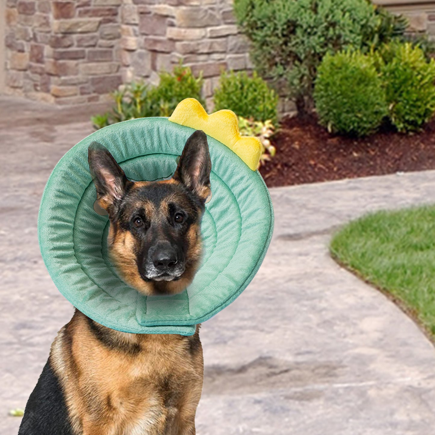 Cat Cone Dinosaur Style Adjustable Multi-purpose Collar Protect Your Pets from Harm