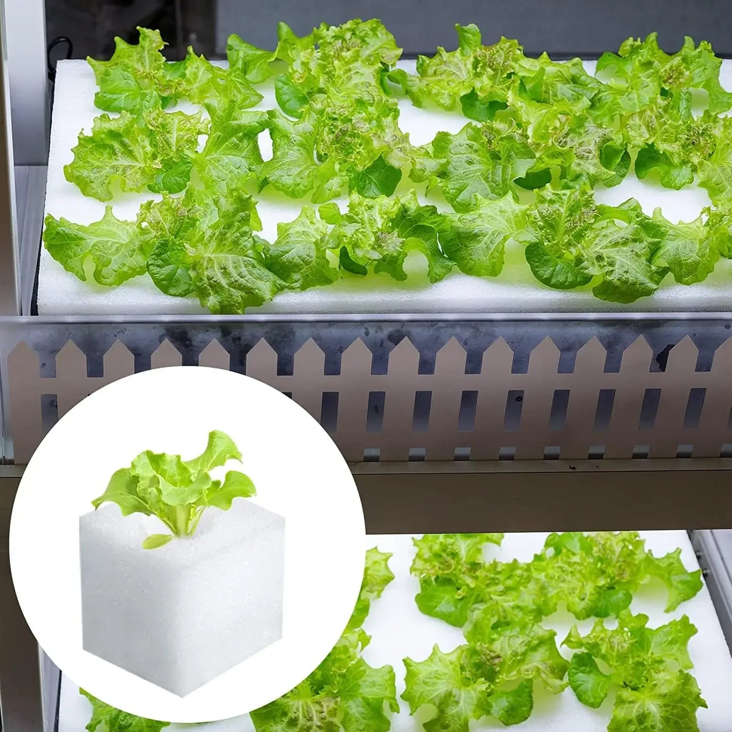 500/100Pcs Sponge Squares for Hydroponics Hydroponic Sponge Planting Tool Household Greenhouse Hydroponic Sponge Square Sponges