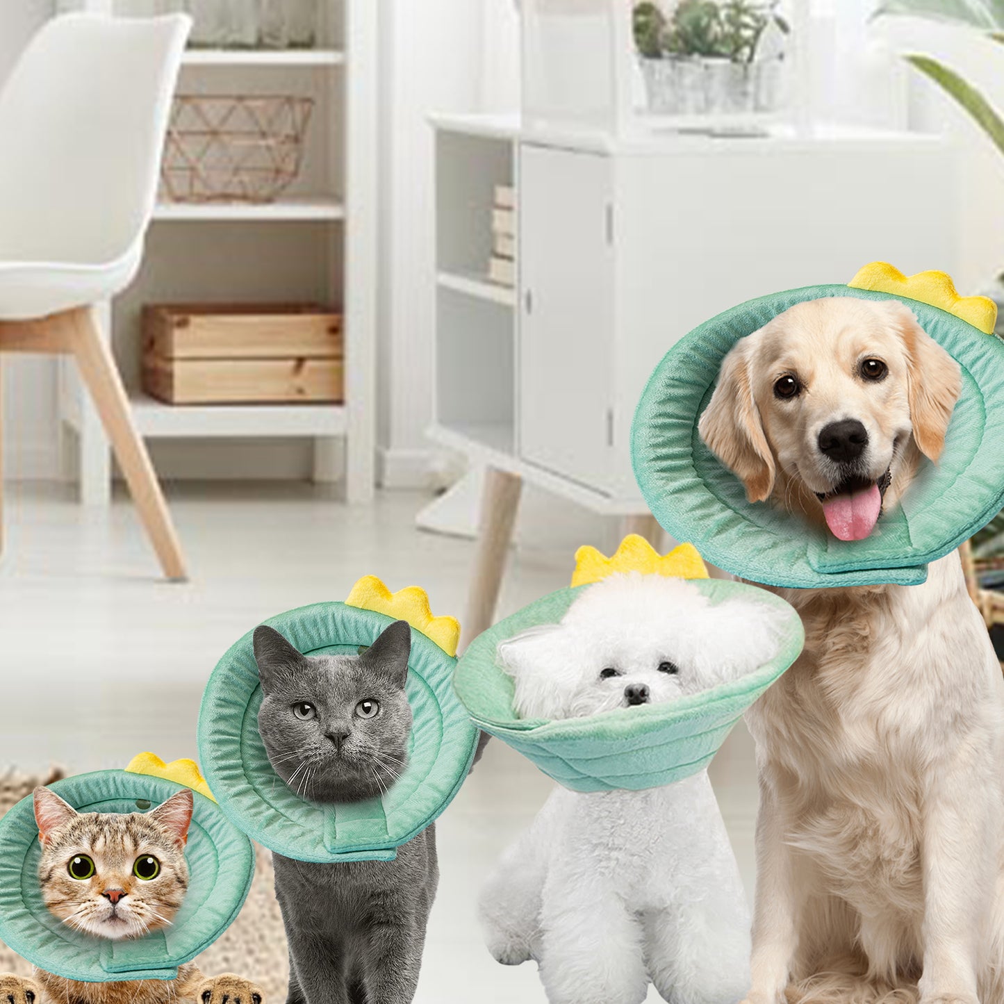 Cat Cone Dinosaur Style Adjustable Multi-purpose Collar Protect Your Pets from Harm