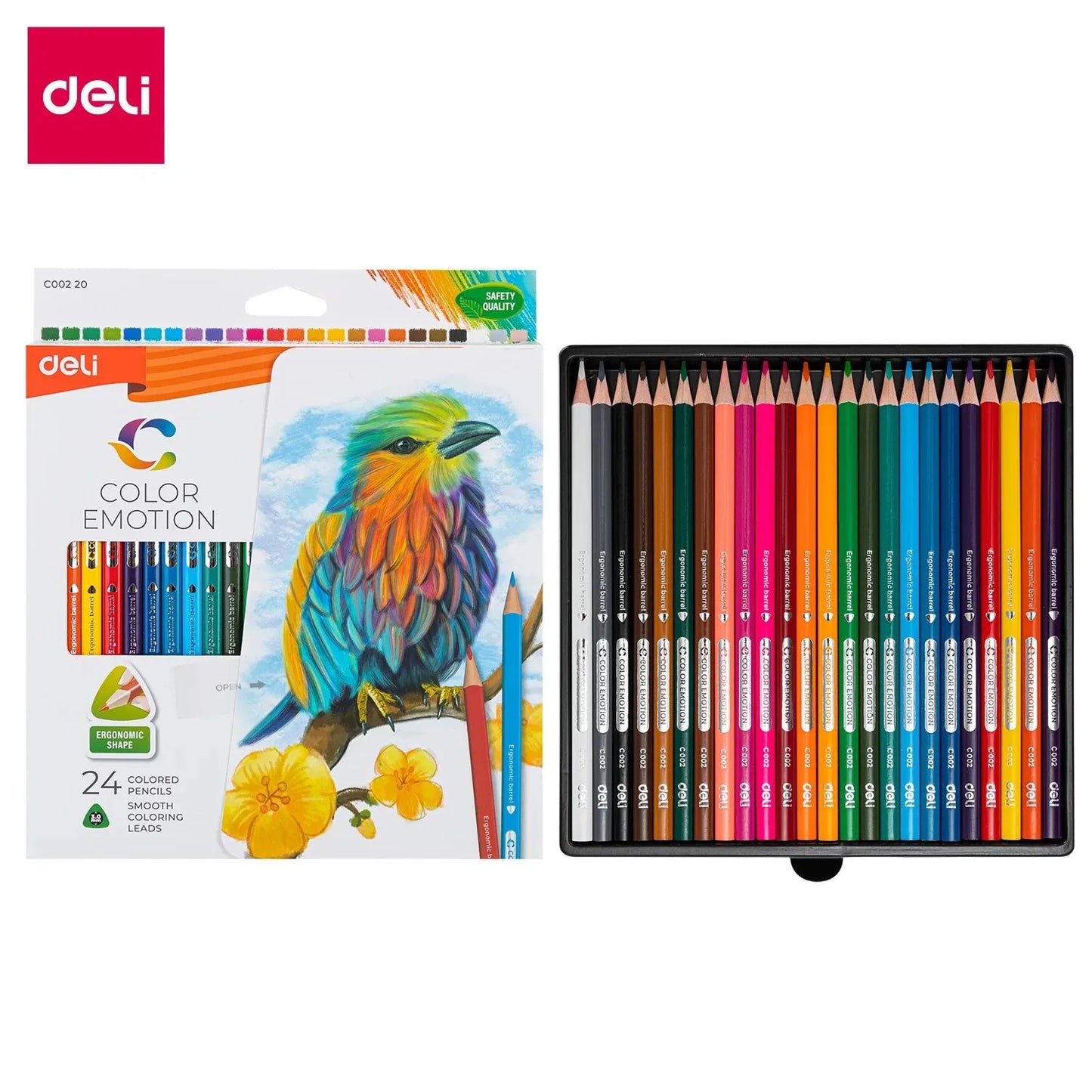Deli Oily Colored Pencil Set – 24/36/48 Colors in Barrel for Students, Artists & Sketching Fun