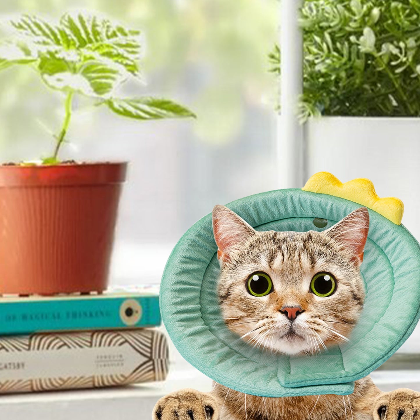 Cat Cone Dinosaur Style Adjustable Multi-purpose Collar Protect Your Pets from Harm