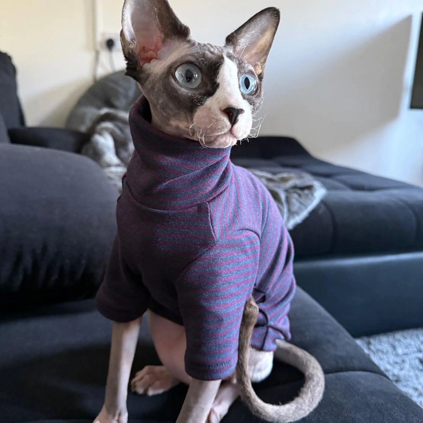 Striped Undershirt for Sphynx Cat Elegant high neck T-shirt for Kittens Dogs Spring Soft Long Sleeve Coat for Devon Rex Clothing